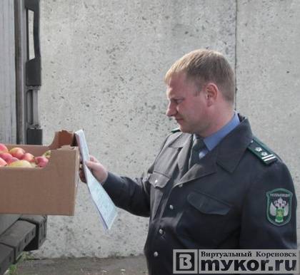 Более 400 килограммов санкционных польских яблок изъял Россельхознадзор на рынке в Кореновске