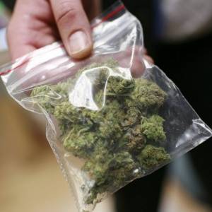 Кореновские полицейские изъяли у жителя с.Братковское более 58 килограммов марихуаны