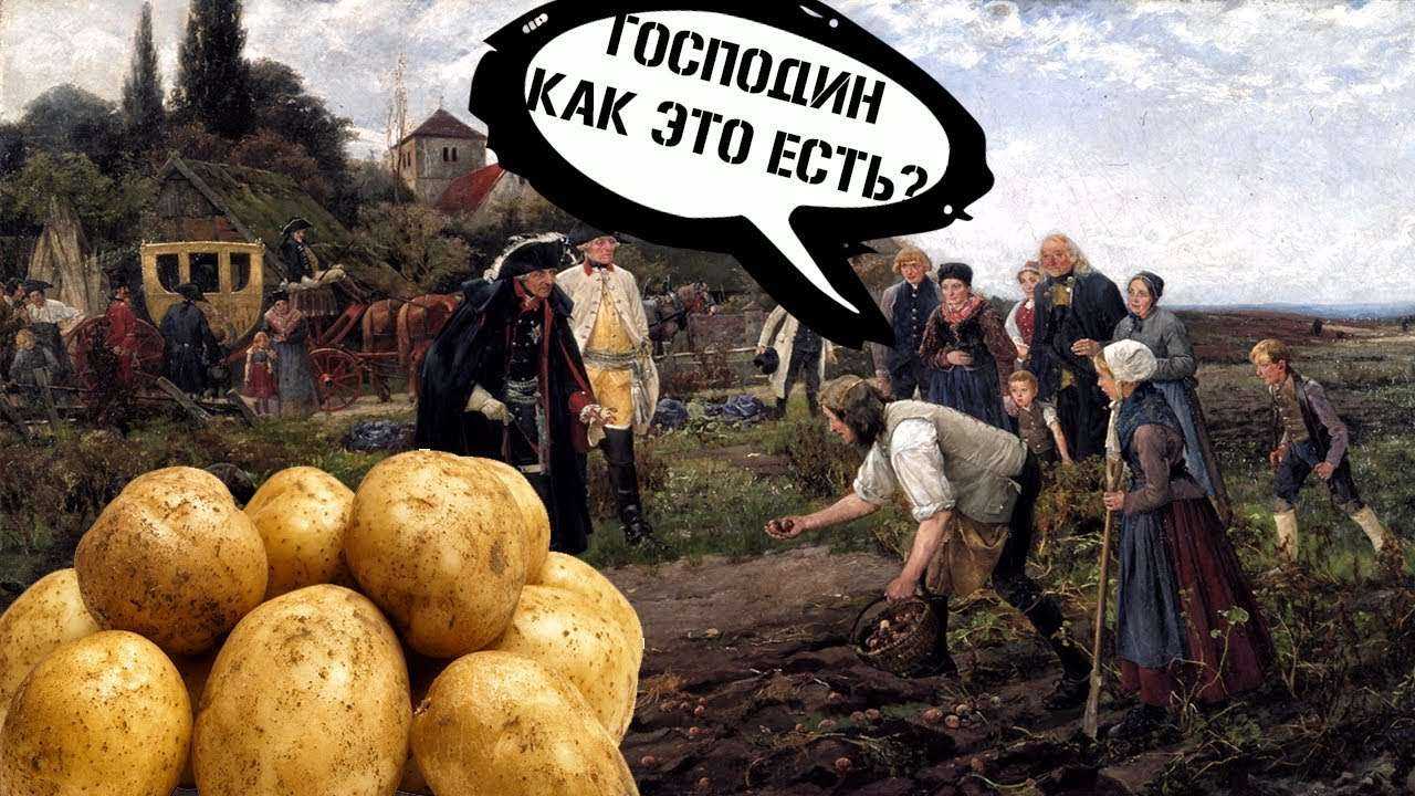 Картофельные бунты в России.Почему русские  не хотели есть картошку?